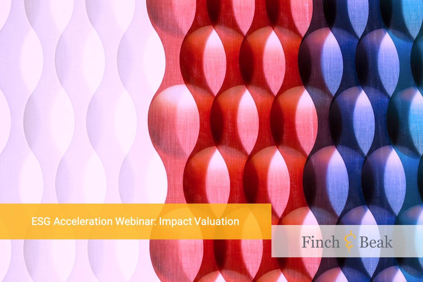 ESG Acceleration Webinar: Impact Valuation